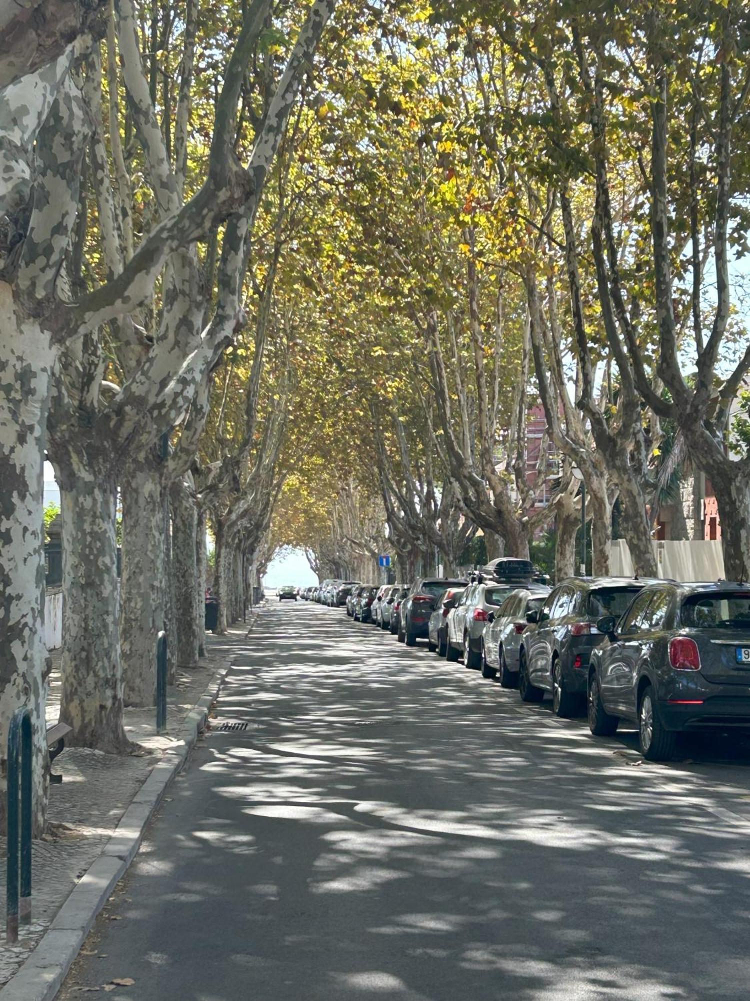 Mar Verde - Parede-Cascais Εξωτερικό φωτογραφία